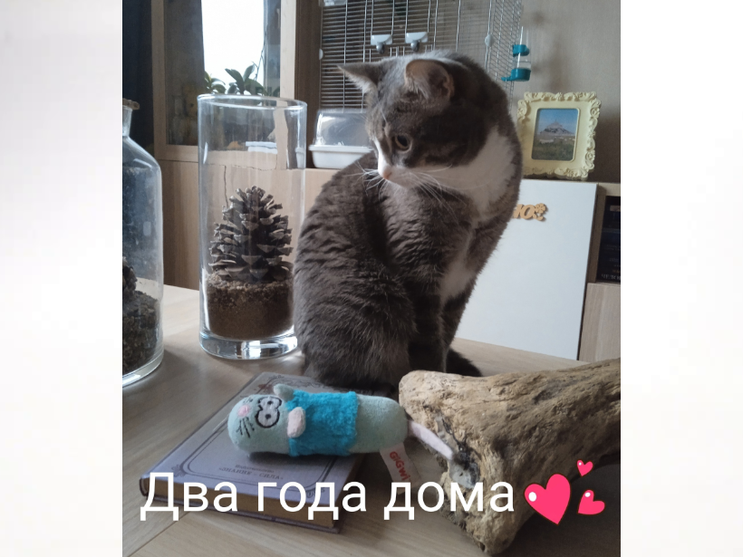-2