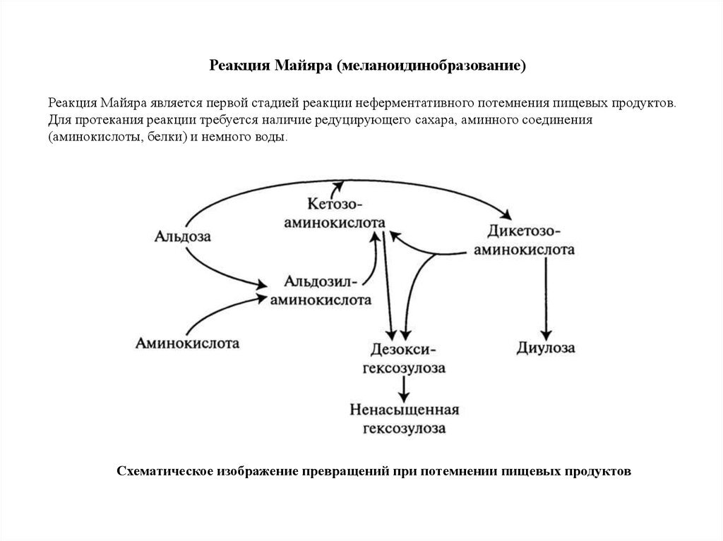 Реакция наличии. Схема реакции меланоидинообразования. Реакция майара схема. Реакция Майяра схема. Реакция Майяра пищевая химия.