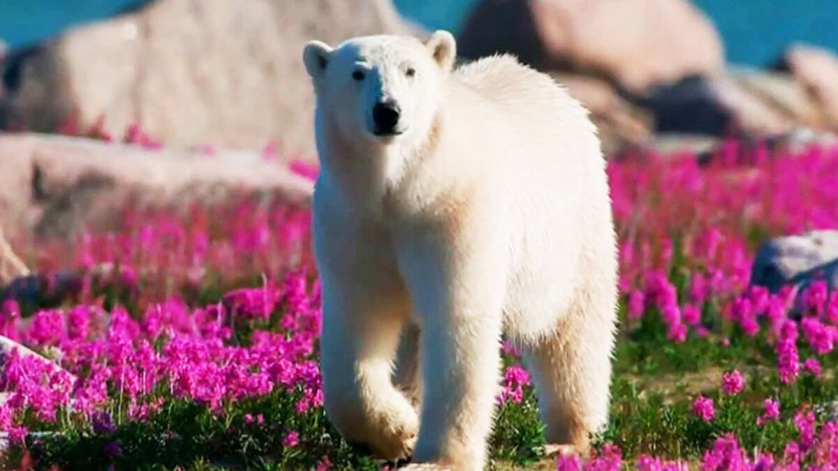 Источник: funart.pro