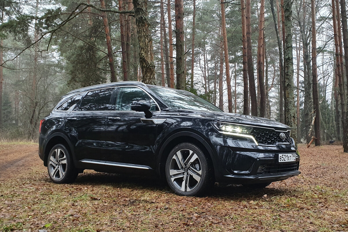 Kia Sorento. Фото CarExpert.ru