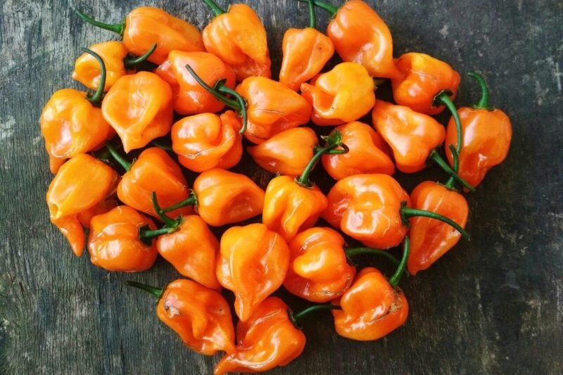Перец хабанеро