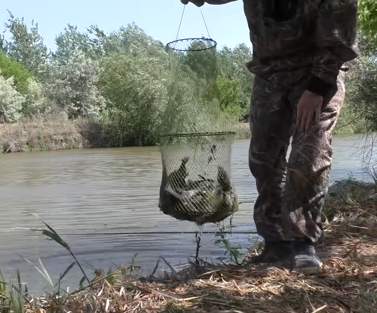 Супер уловистая насадка из одного ингредиента, ловит средних и крупных ...