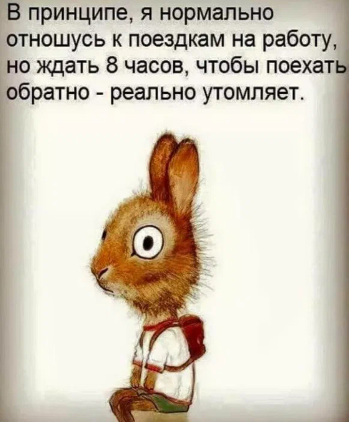 Отлично отношусь