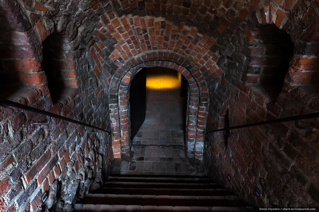 фото из интернета