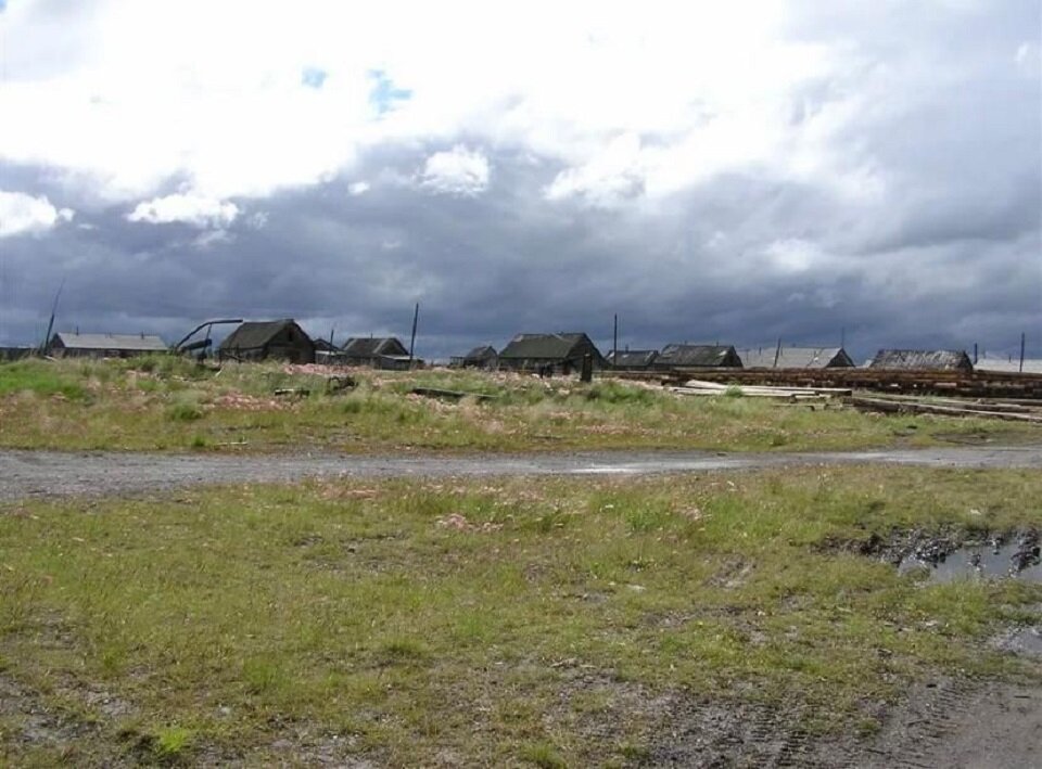     Тело 17-летней девушки со следами укусов нашли на улице северного поселка рано утром. Возможно, на нее напали собаки или даже волки