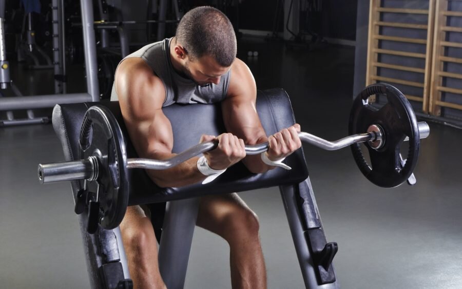 Увеличение массы тела: как нарастить мышцы в фитнес-клубе