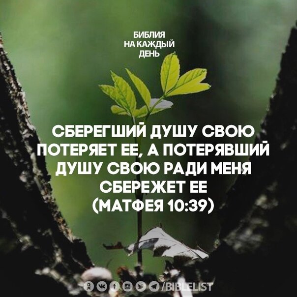 Картинка взята из источника Яндекса.