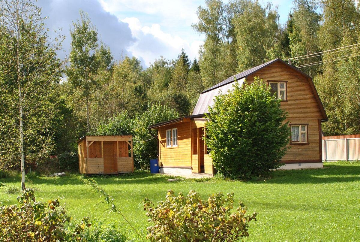 фото из интернета