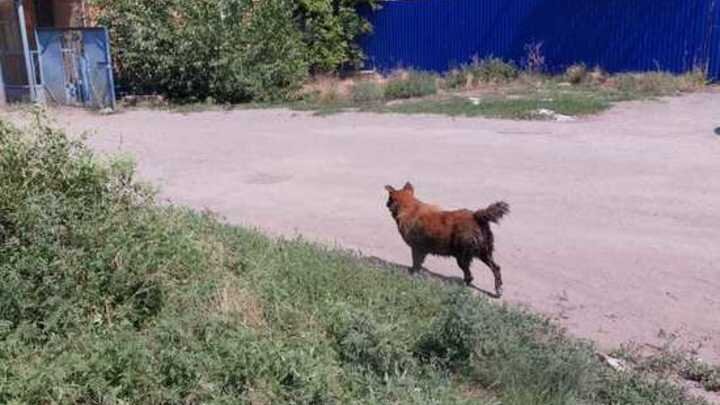 ФОТО: СКРИНШОТ С ВИДЕО СПАСИТЕЛЕЙ