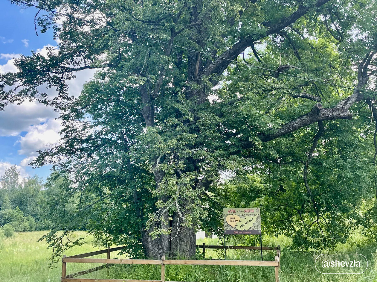 Воронежский природный биосферный заповедник