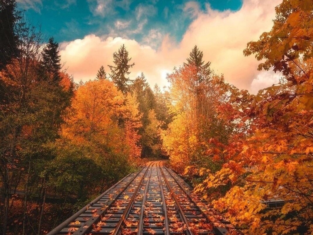 Фото взято из открытых источников