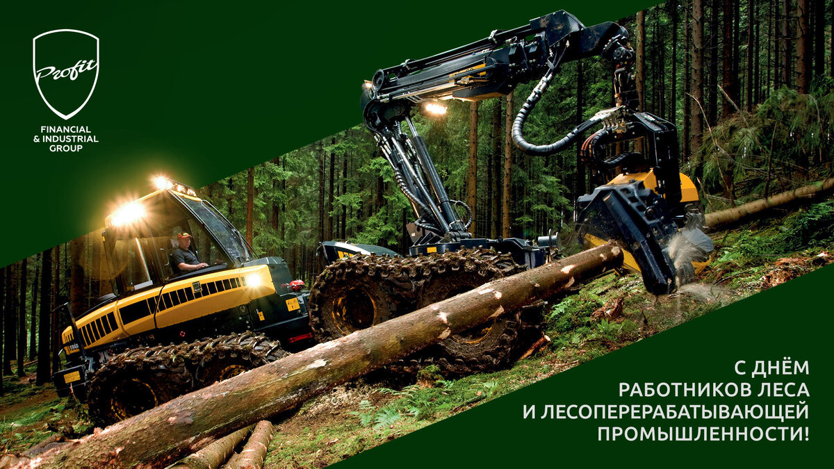 #профит #профитгруп #profitgroup #фпгпрофит #группакомпанийпрофит #деньработниковлеса #профессиональныйпраздник #поздравление #лес 