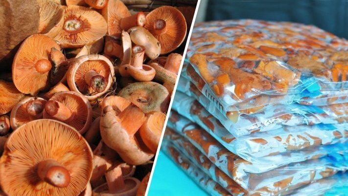 Как готовить грибы рыжики?