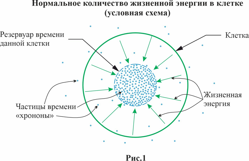 Как работает АЭС?