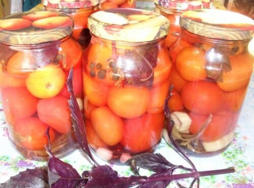 Рецепт маринованных помидоров на зиму (с базиликом) 