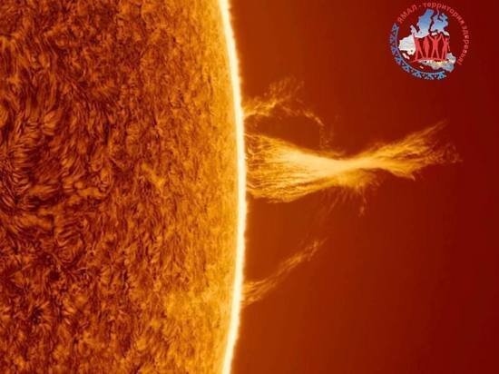     Фото: Telegram Ямал здоров!