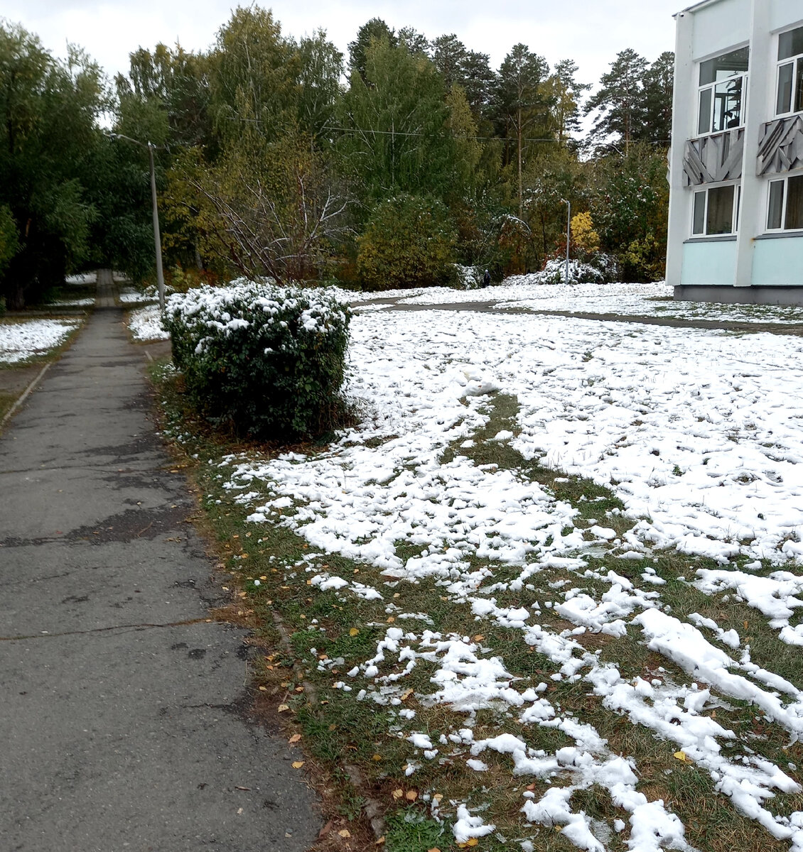 Снег у библиотеки!