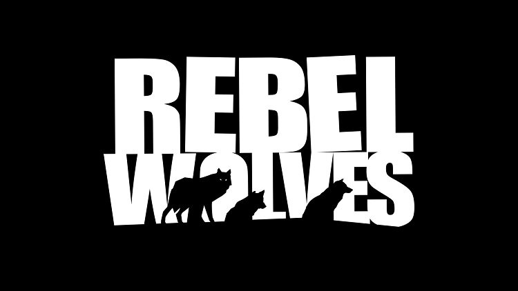  📷    Источник изображений: Rebel Wolves