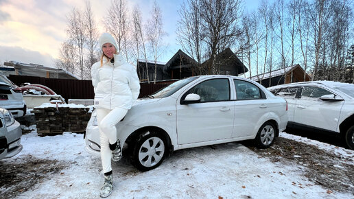 Лиса рулит подбор авто