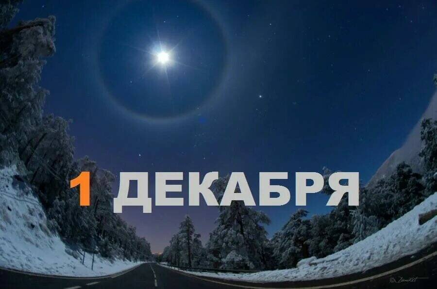 М 1 декабря. 1 Декабря. 1 Декабря праздник. 1 Декабря - наш праздник. 1 Декабря 2017г.