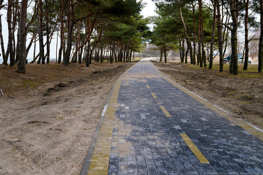 Фото: Виталий Невар / Новый Калининград