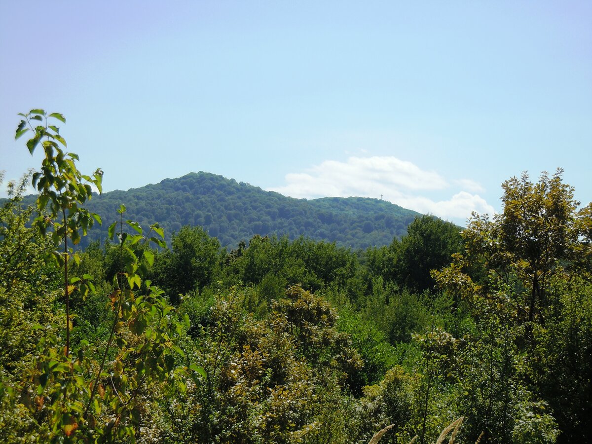 Вот как оправдывают лесорубы хаотичную прокладку ими глубоких, до глины, трелёвочных дорог через леса, поверх старых аккуратных грунтовок, ещё и разрушая при этом древние поселения и могильники разных-55