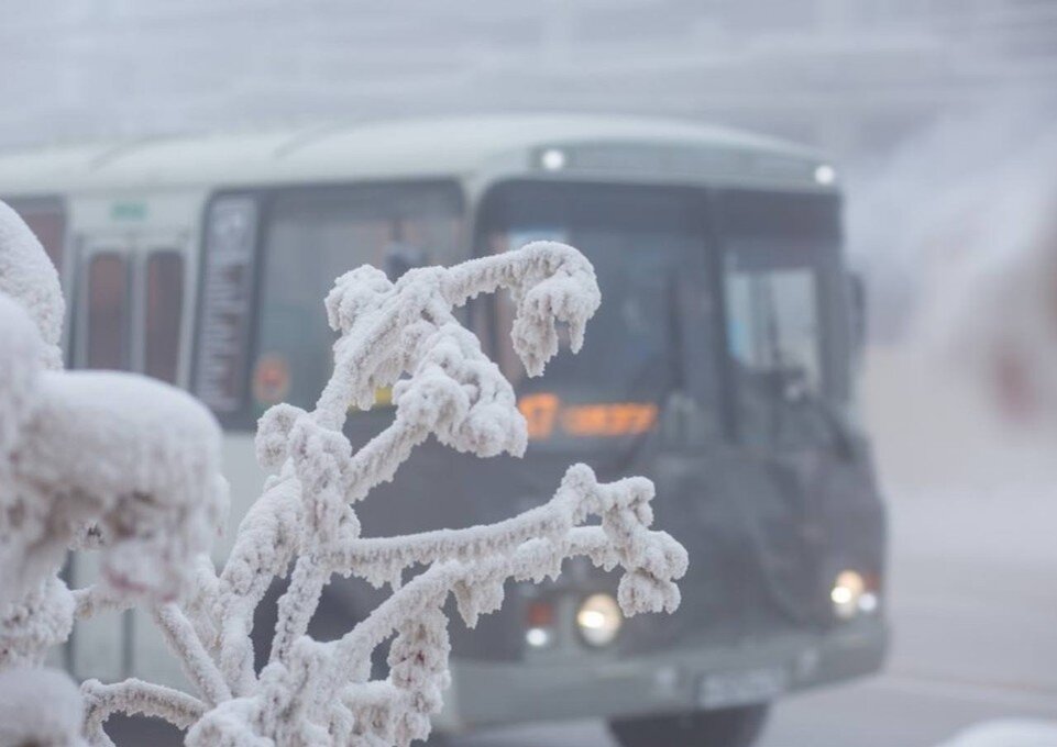     Фото: мэрия Якутска