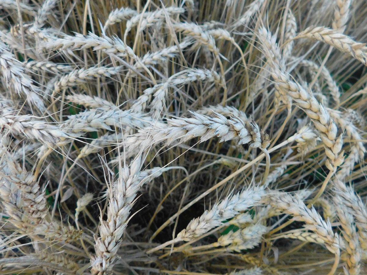 Фото автора канала