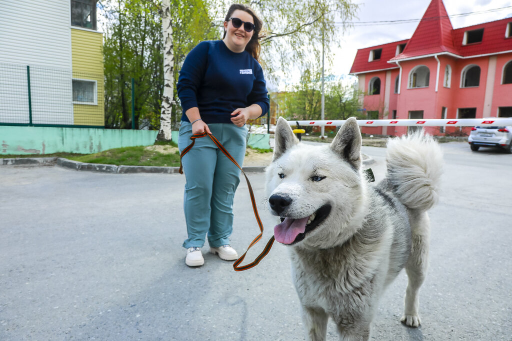    Свой подход к хвостатым
