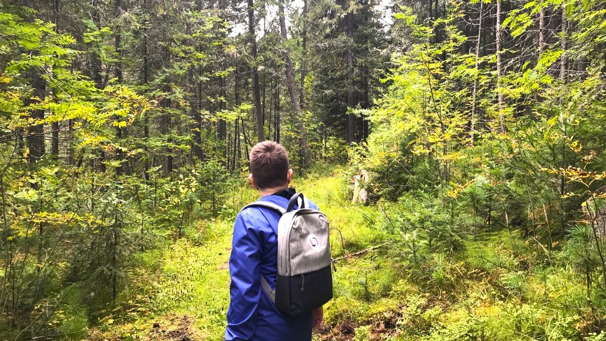    В Югре снят особый противопожарный режим