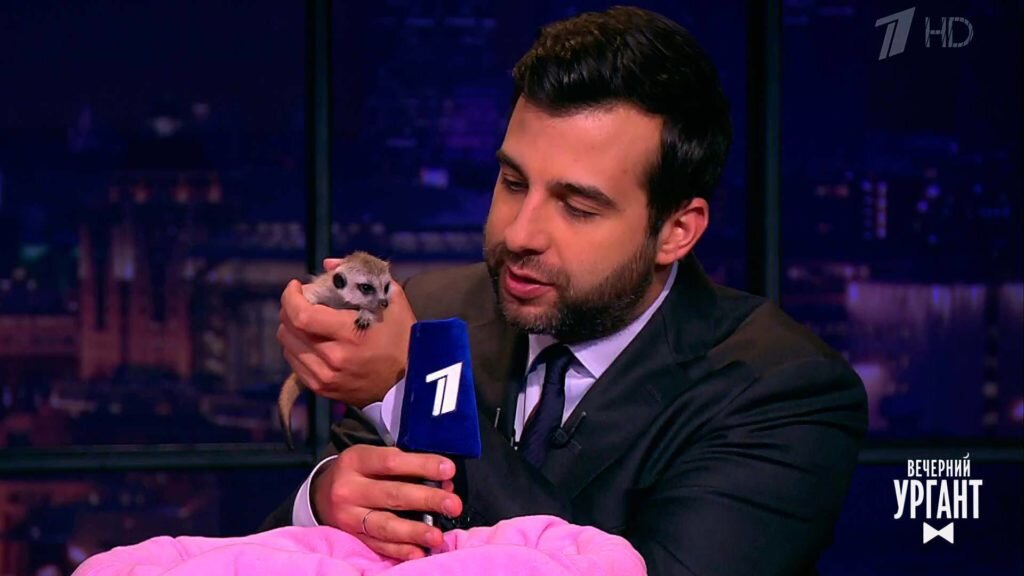 Вернутся ли покинувшие Россию медийные персоны обратно на свои места на отечественных федеральных каналах, пустят ли их? Фото: Яндекс.картинки