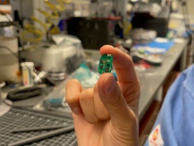    Новый датчик предсказывает отторжение пересаженного органа