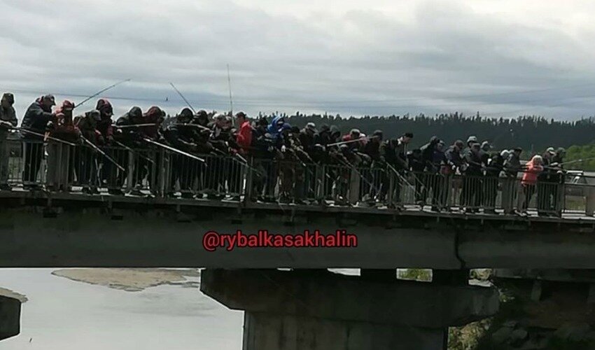 Фото: Instagram @rybalkasakhalin