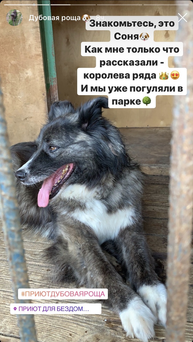 Соня с 4 ряда🥰