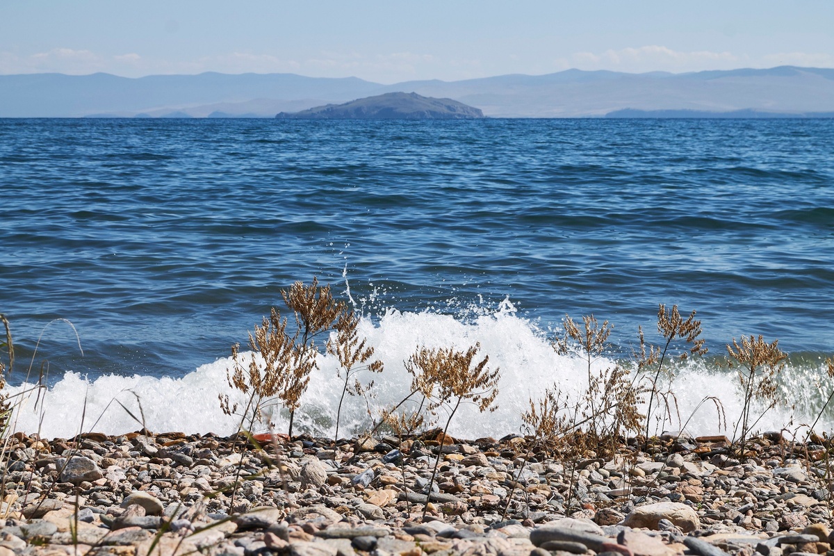 Ставьте "больше такого"  поделитесь статьёй в соцсетях!