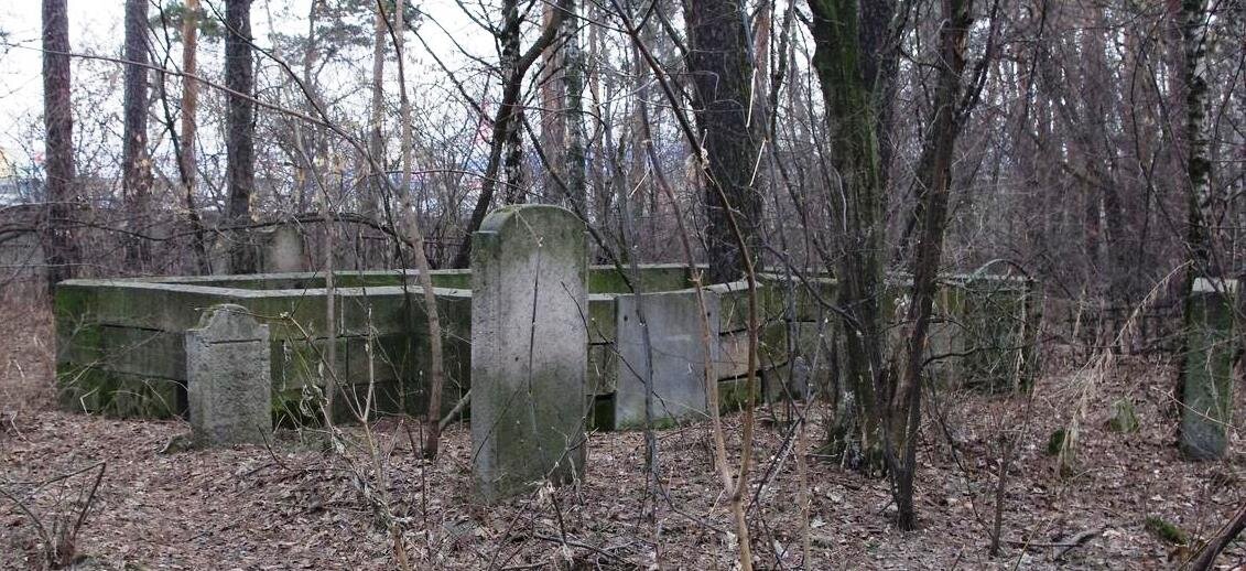 примерно такую картину увидели дети (только время года было иное и  ограда узорная). Фото из открытого доступа - яндекс картинки.