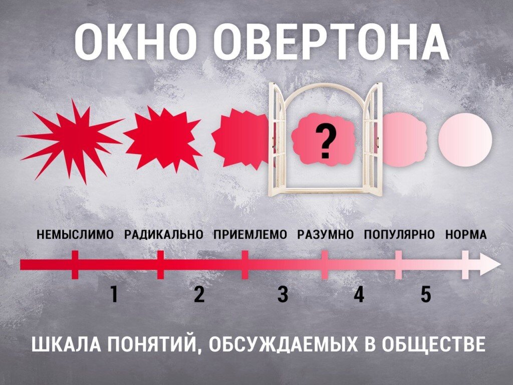 Как Анна Николаевна, миновав окно Овертона, попала на телеканал ТНТ? | ART  ВЗГЛЯД | Дзен