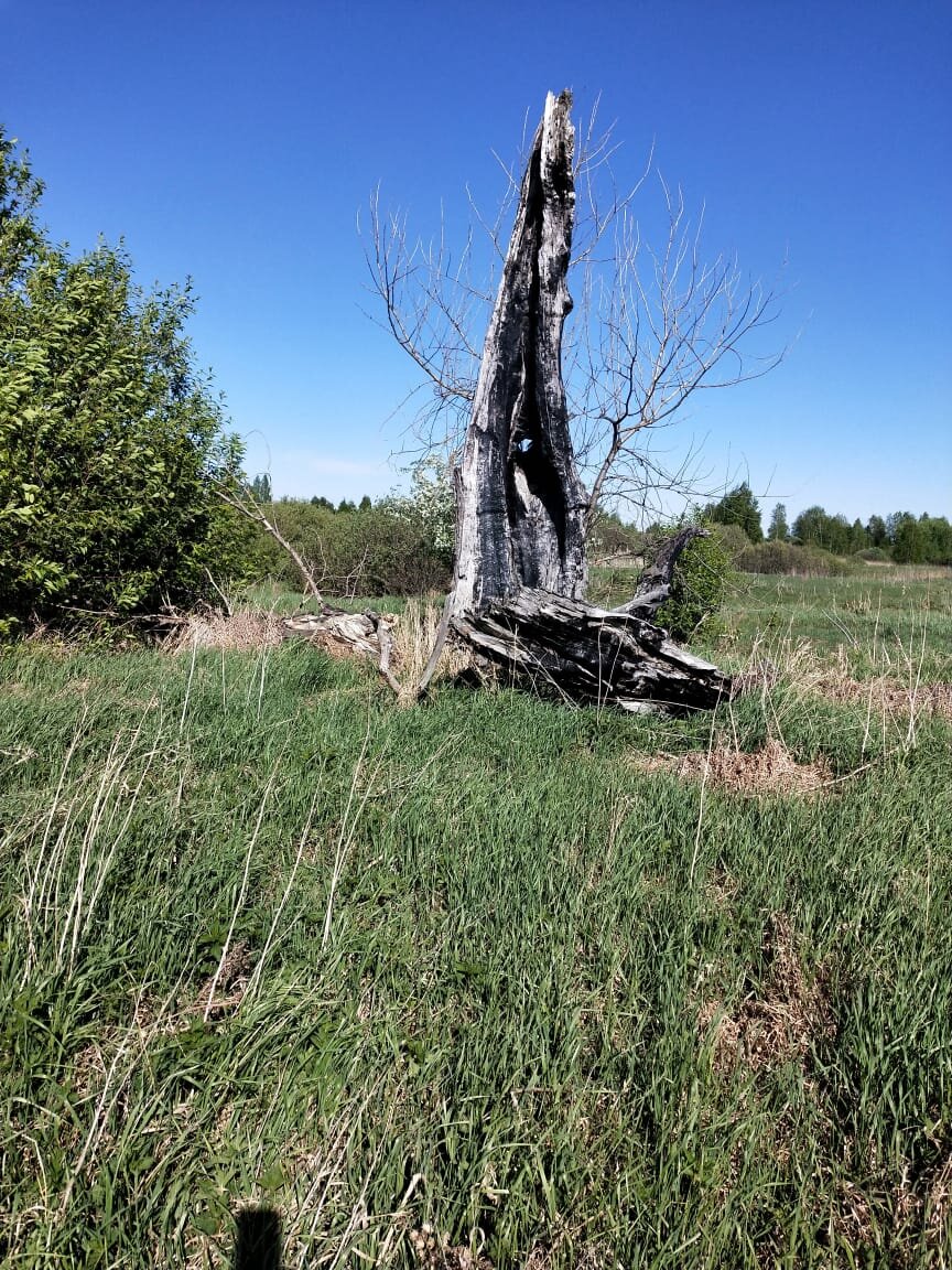 Фото из личного архива.