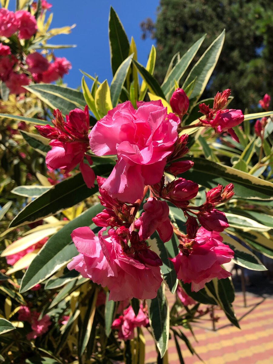 Фото сделано мной