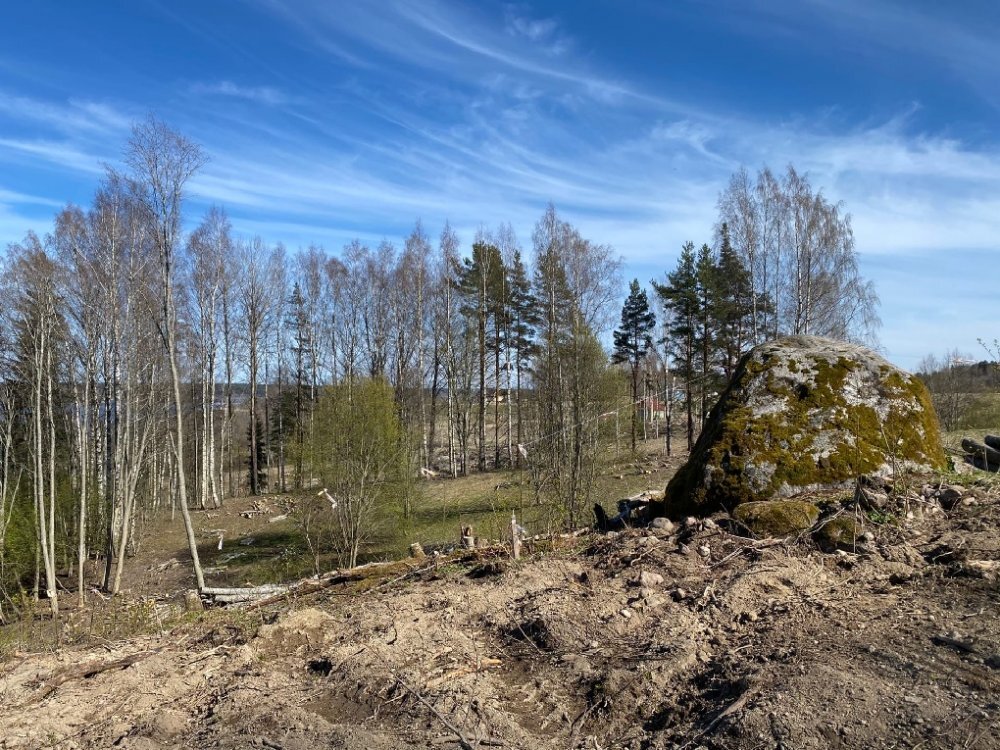 Священные камни Лапинлахти. Фото из ВК-группы "Ольховка - памятник археологического наследия"