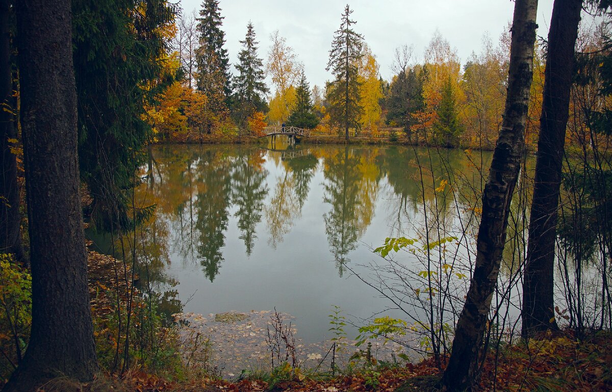 Хотьково реки