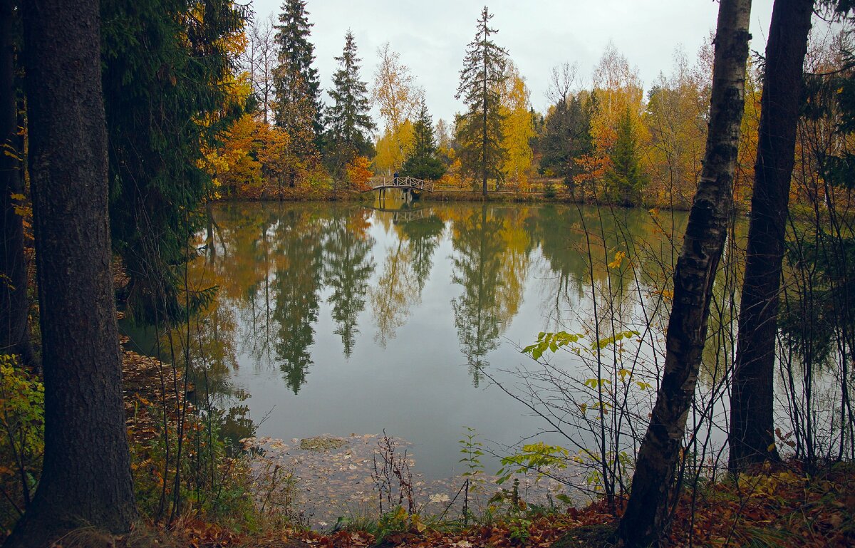 хотьково реки