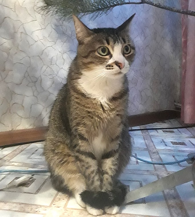 Я здесь хорошо получилась