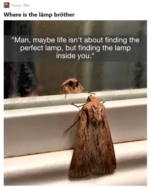 Источник: https://9gag.com/gag/ax9MXP1