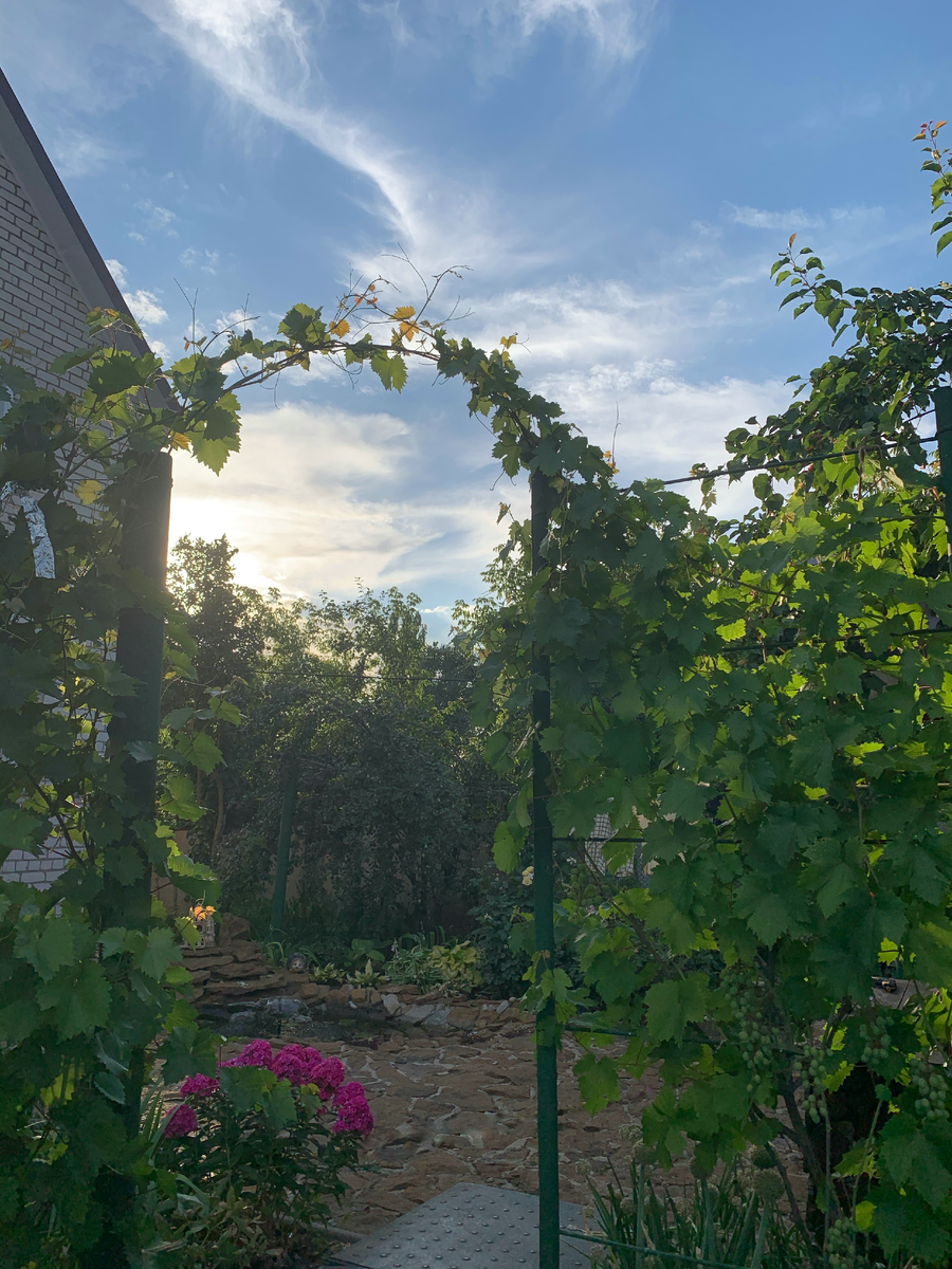 Фото автора "Тещин райский уголок"