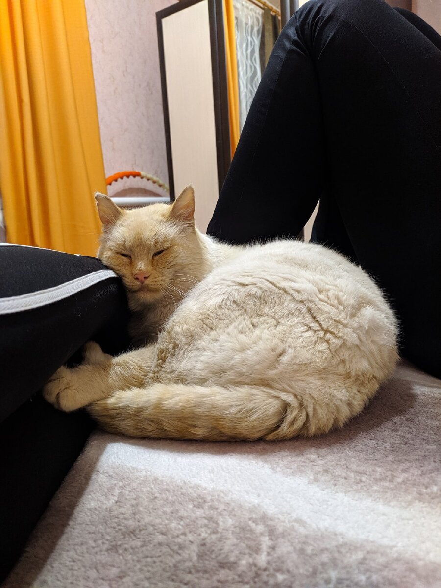 Любит быть рядом с людьми