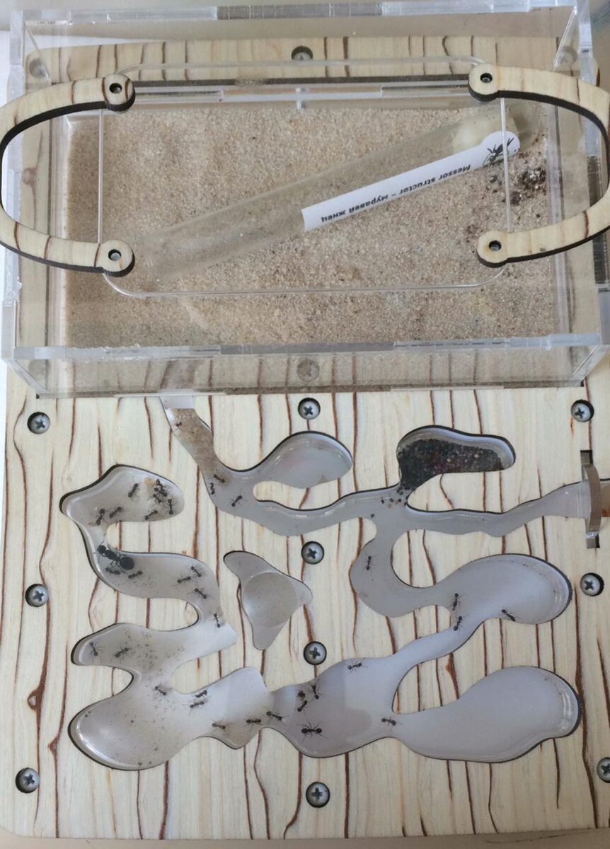 так выглядел мой фармик 30 апреля