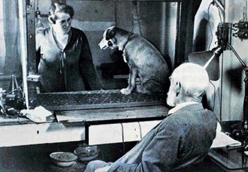 изображение взято с сайта russian7.ru