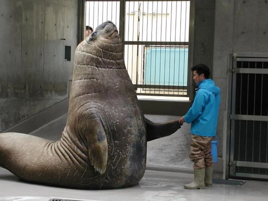 Источник: thesun.co.uk