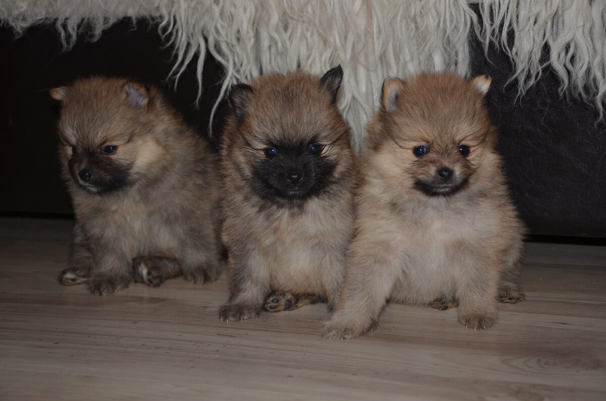 Малышка справа 